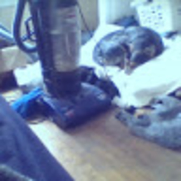 Meet your Posher, Bobby - Picture 1 of 1